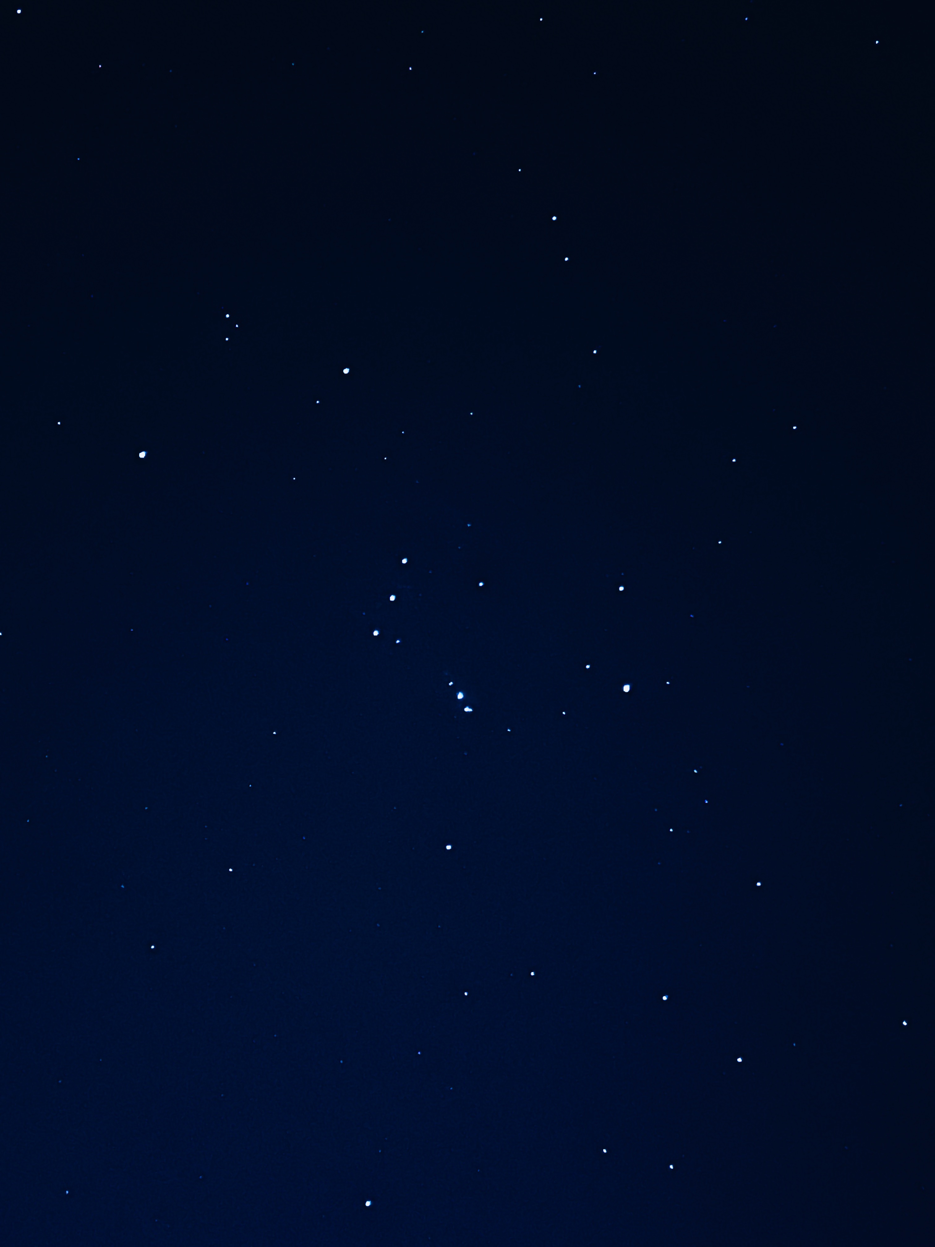 Grid Image 6