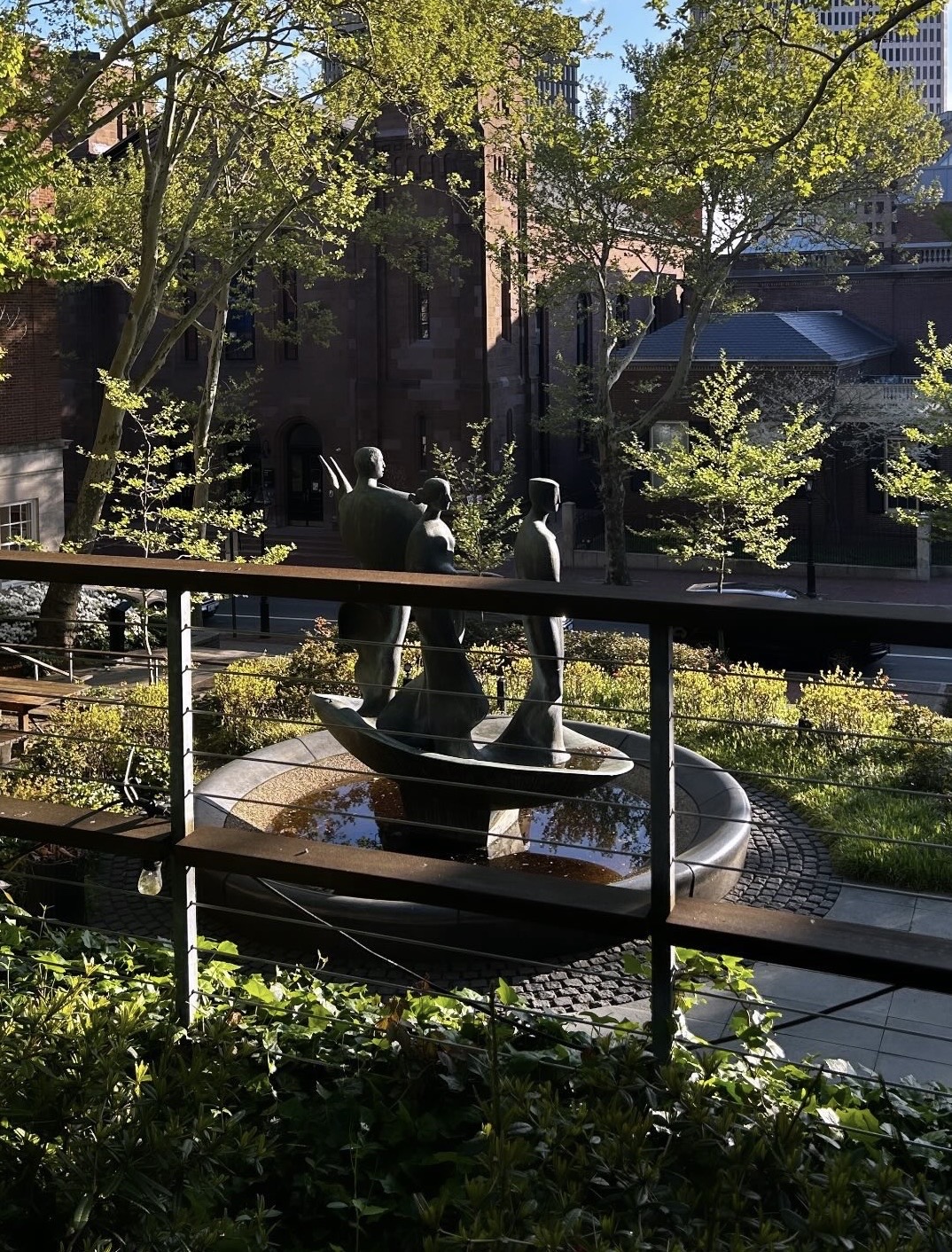 sunlight dappled through leaves